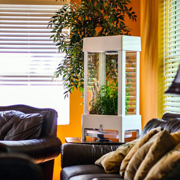 Living plants in your living room.