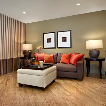 Living Room & Spaces