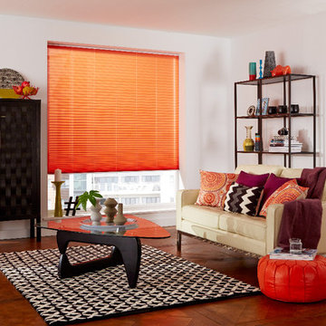 Living room blinds and interiors