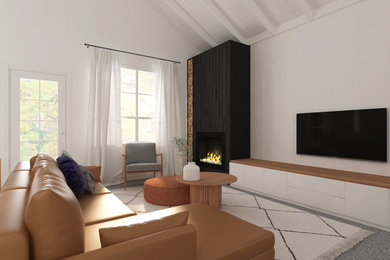 Living Room (Conceptual Design)