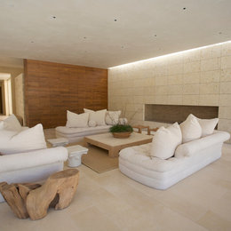 https://www.houzz.com/photos/living-room-contemporary-living-room-san-francisco-phvw-vp~9796409