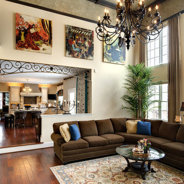 Living Room Design, Renovation & Furnishings