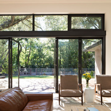 Living Room Doors