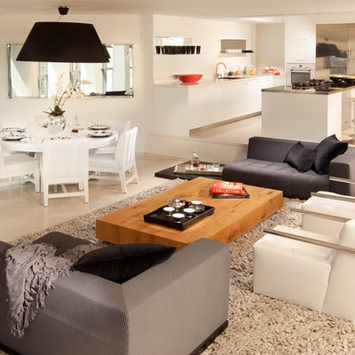Example of a minimalist open concept living room design in Other