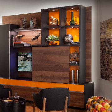 Living Room Entertainment Center - White Plains, NY