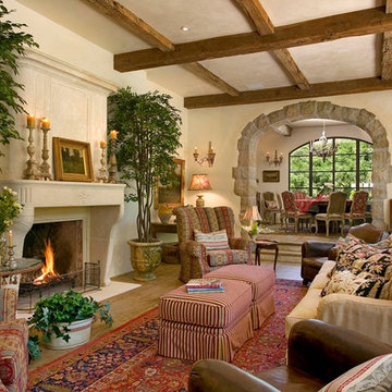 Living Room Fireplaces
