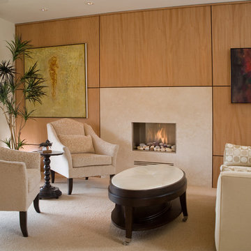 LIVING ROOM - LA JOLLA CONDO REMODEL