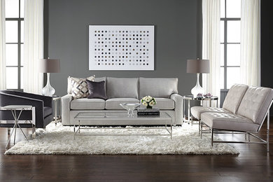 Living room - modern living room idea in Dallas