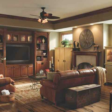 Living Room or Basement Ideas