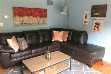 Example of a living room design in Baltimore with blue walls