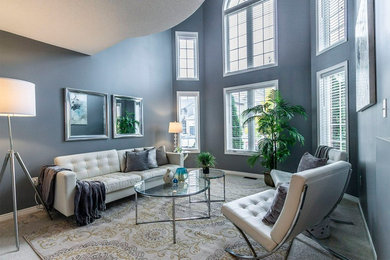 На фото: большая изолированная гостиная комната в современном стиле с серыми стенами, ковровым покрытием и бежевым полом без камина, телевизора с