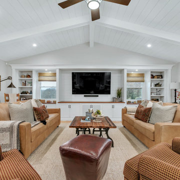 Living Room Remodel