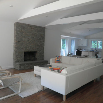 Living room Remodel East Hampton