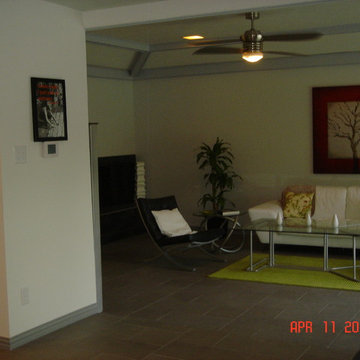 Living Room Renovation- Modern Green 78' Ranch