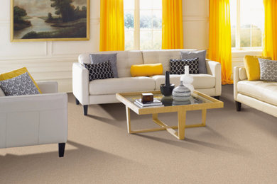 Example of a mid-sized trendy formal and open concept carpeted and beige floor living room design in New York with white walls and no fireplace