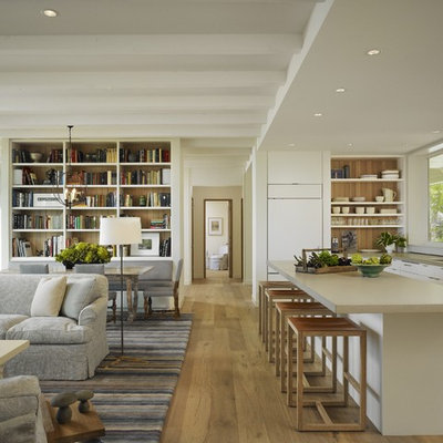 Inspiration for a mid-sized transitional open concept light wood floor living room remodel in Chicago