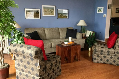 Diseño de salón para visitas cerrado actual de tamaño medio sin chimenea y televisor con paredes azules y suelo de madera en tonos medios