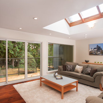 Living Room With Large Windows And Vaulted Skylight Ceiling