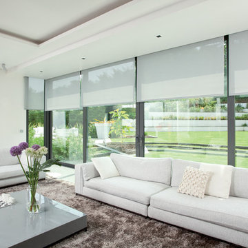 Living Room with Roller Blinds