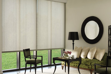 Living Room with Roller Shades