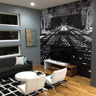 Living Room Wall Murals | Houzz