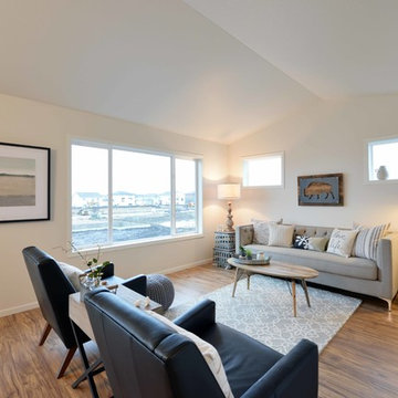 Living Rooms