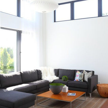 Living Rooms | Window + Door Designs