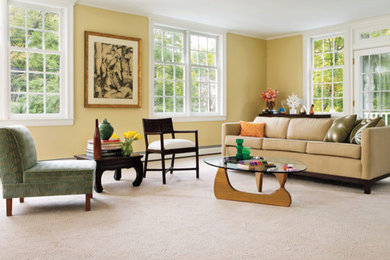 Inspiration for a mid-sized transitional carpeted living room remodel in New York with gray walls