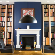 Fire places and book shelves