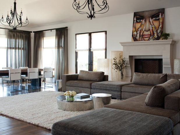 Contemporary Living Room by Lizette Marie Interior Design