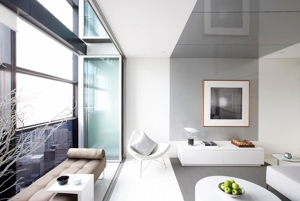 Contemporary Living Room by D'Cruz Design Group