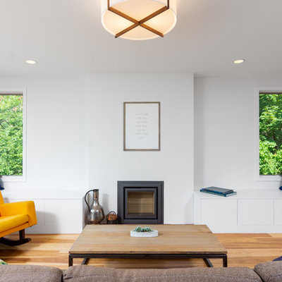 Living room - cottage light wood floor living room idea in Detroit with white walls, a wood stove and no tv