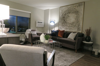 Transitional living room photo in Minneapolis