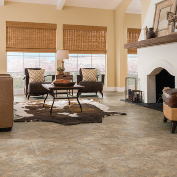 Transitional Living Room
