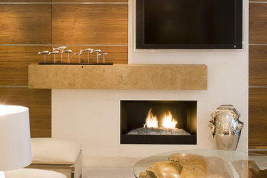 ジャクソンビルにあるコンテンポラリースタイルのおしゃれなリビング (壁掛け型テレビ、石材の暖炉まわり) の写真