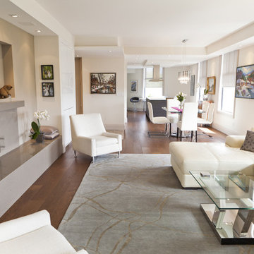Luxurious Condo Living Room