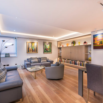 Luxury Apartment Renovation