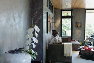 Immagine di un soggiorno contemporaneo con pareti grigie