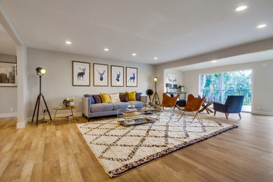 Transitional living room photo in San Diego