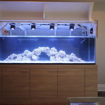 Media Room with Aquarium