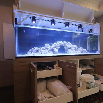 Media Room with Aquarium