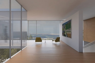 Cette image montre un très grand salon minimaliste ouvert.