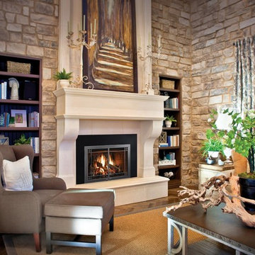 Mendota Gas Fireplaces and Inserts