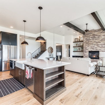 Meridian, Idaho Clark Falls Modern Farmhouse