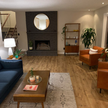 Mid Century Mod Living Room