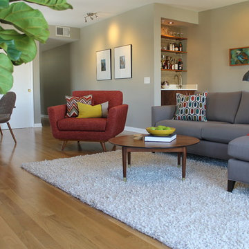 Mid Century Modern Design Living Room