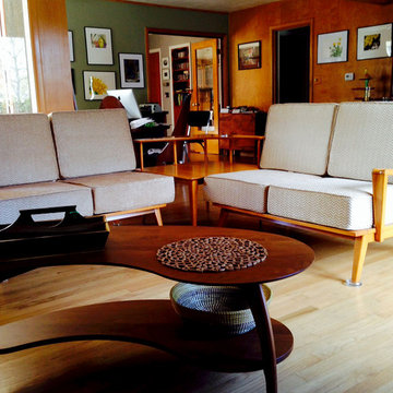 Mid-Century Modern Furniture Cushions