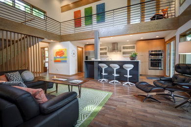 Living room - modern living room idea in Minneapolis
