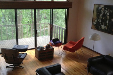 Living room - 1950s living room idea in Cedar Rapids