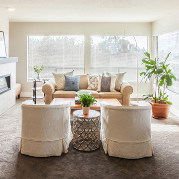 Mid-century/modern living room